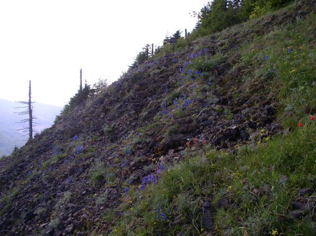 6.10.06 Table Mtn_3CR 176 